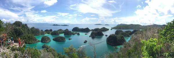 elwinmok Profile Banner