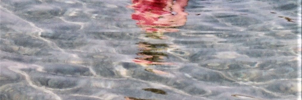 elsakenningham's profile banner image