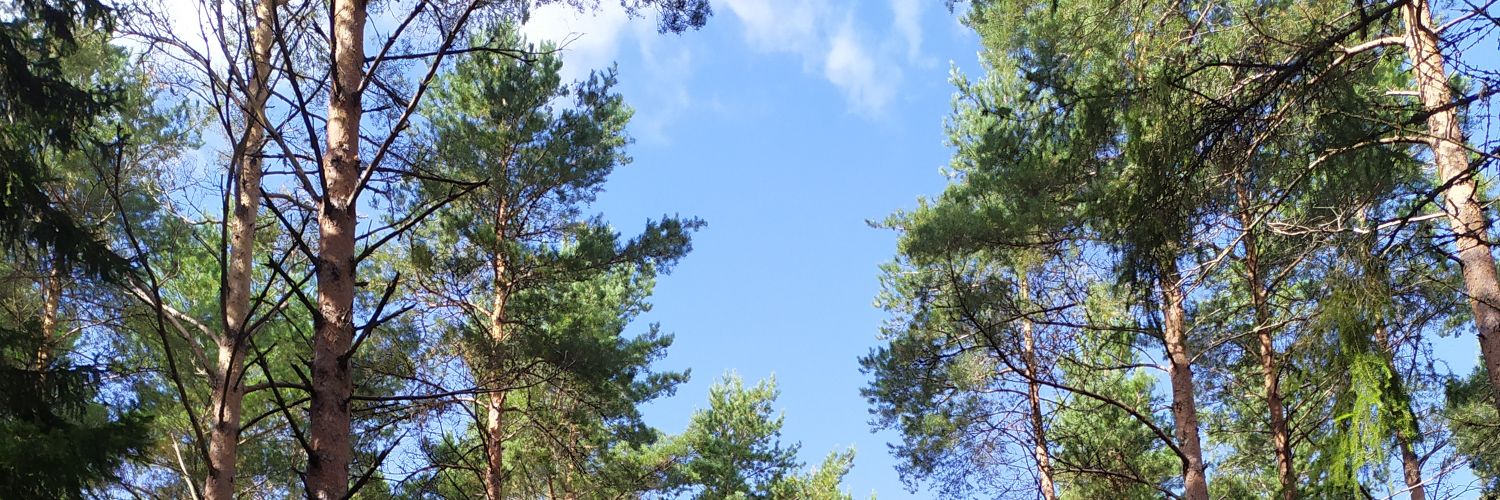 Gabriel Zarzosa banner