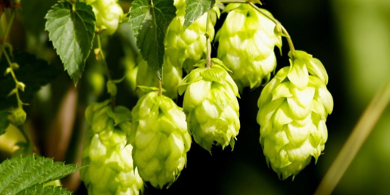 jett78's profile banner image