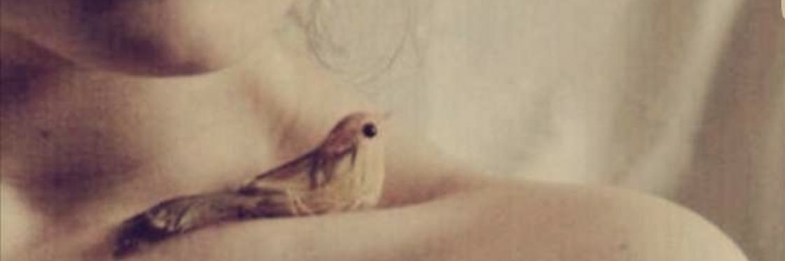 wajal2's profile banner image