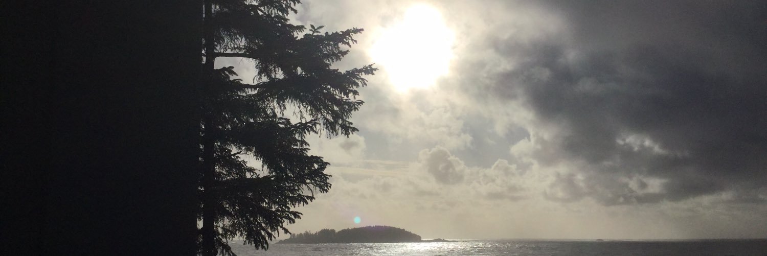sujarda's profile banner image