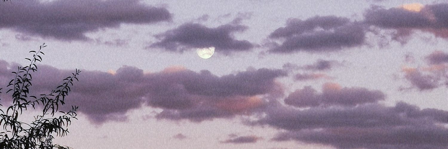Itsxlenia's profile banner image