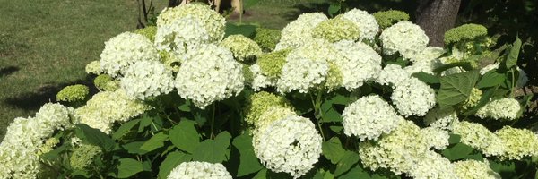 kushina07 Profile Banner