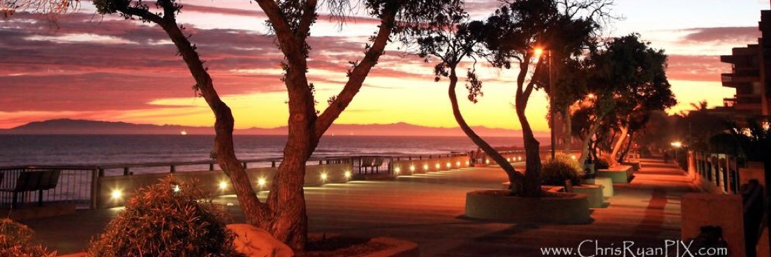 Katy Stephens-Miller banner