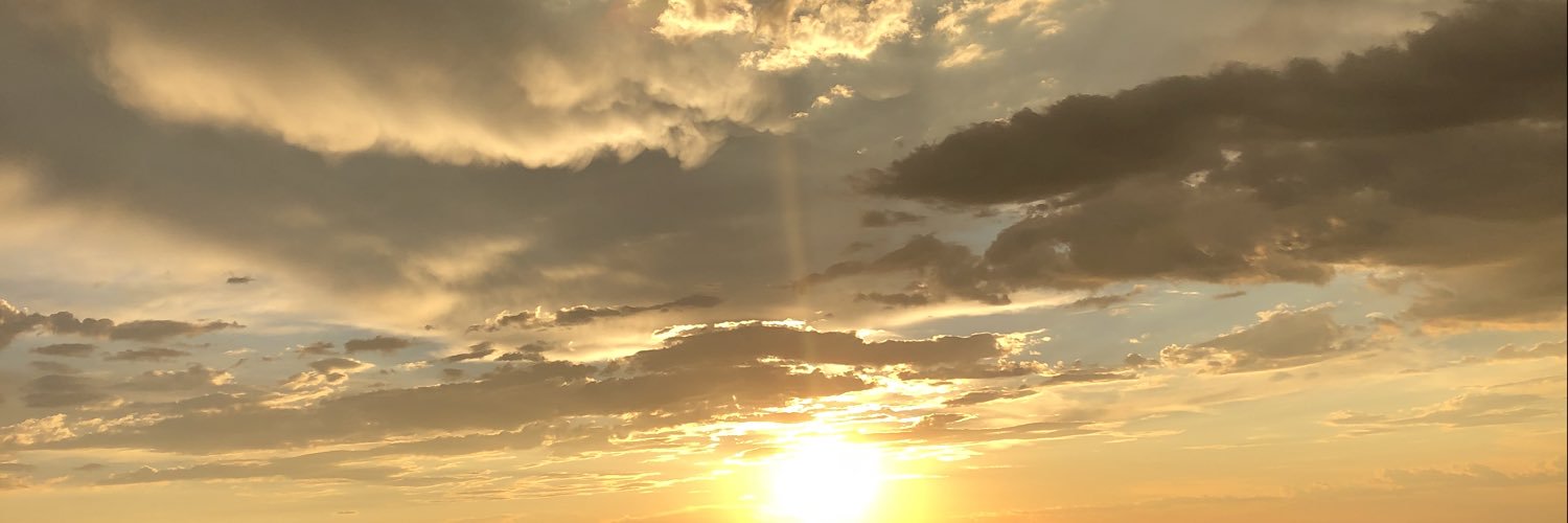 IrisCavazos's profile banner image