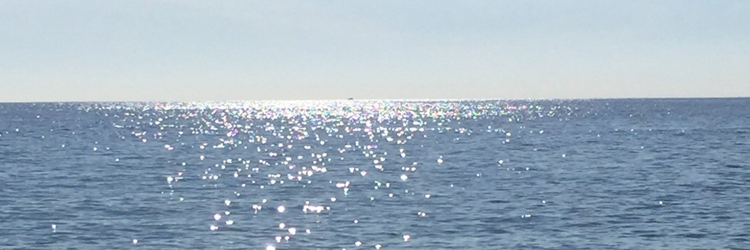 jfsheils's profile banner image