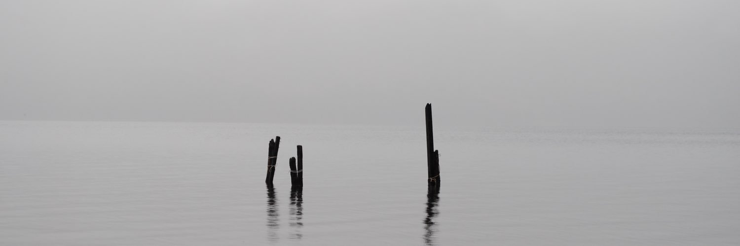 tamaraquezada's profile banner image