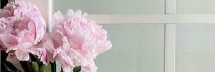 asma122_'s profile banner image