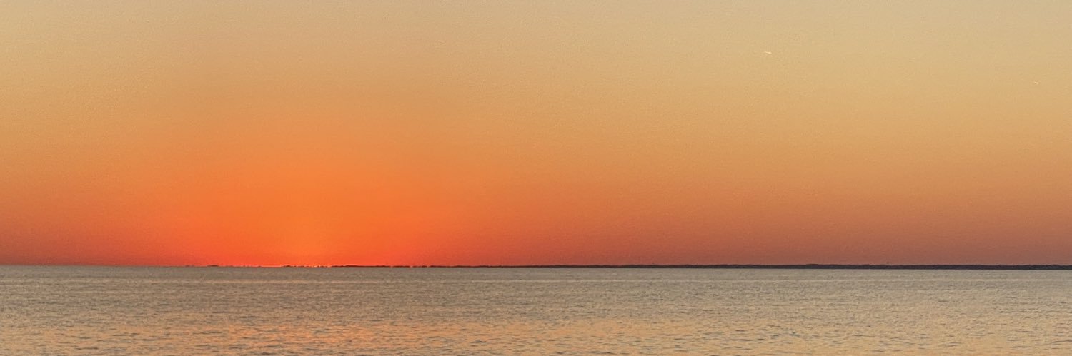 dellaraew's profile banner image