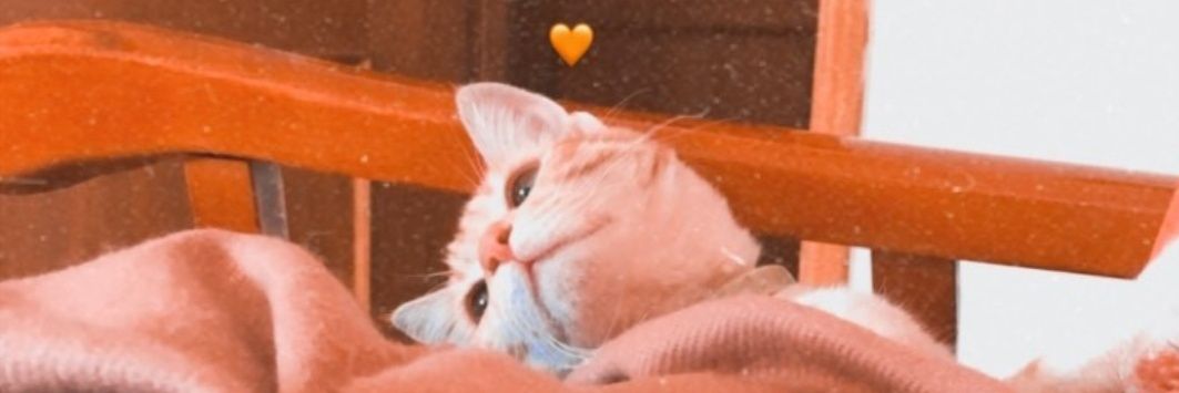 rebecaa96's profile banner image