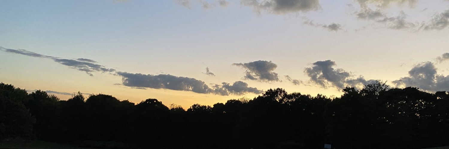 Lntroverti's profile banner image