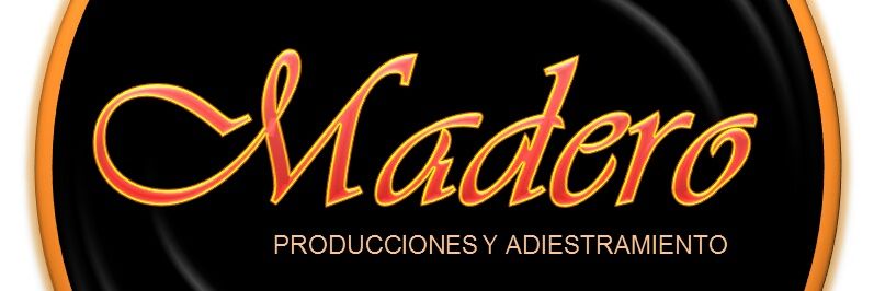 MaderoPro's profile banner image