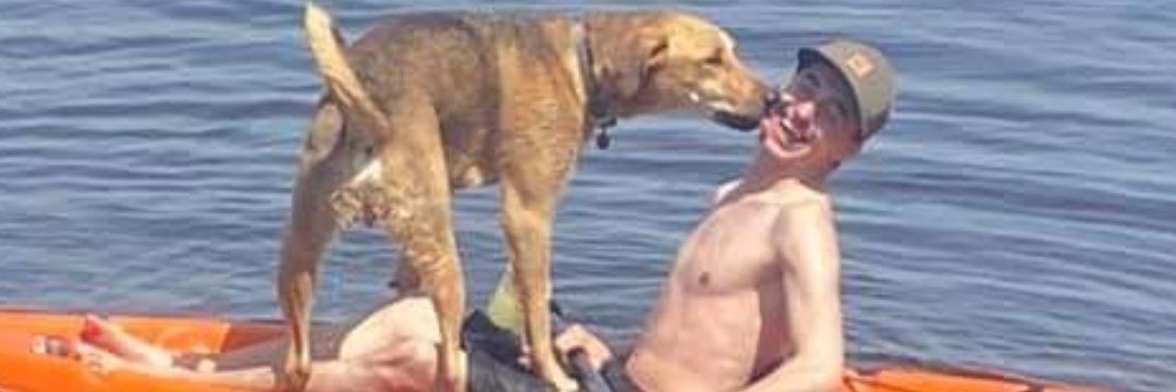 Daniel Fauteux banner