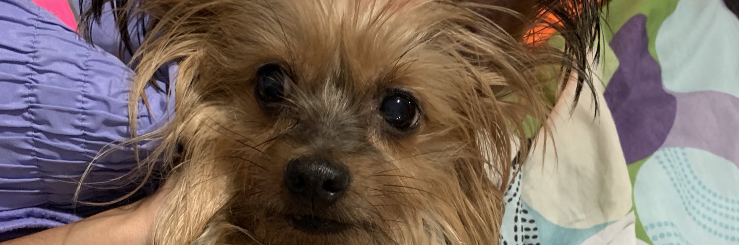 FaBy0l_a's profile banner image