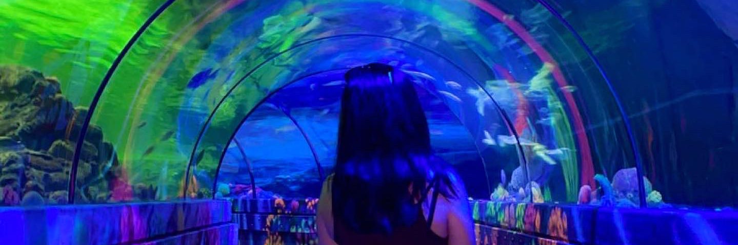 AmyCTaylor_'s profile banner image