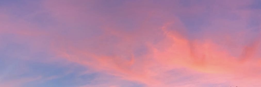 Georgia Joyce Smith banner