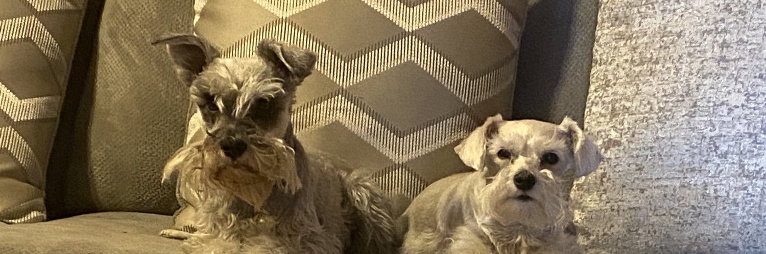 ashleysayshola's profile banner image