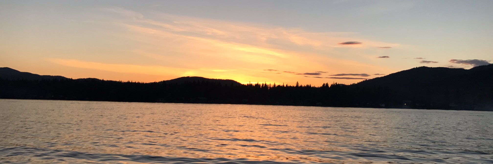 GabiGreer's profile banner image