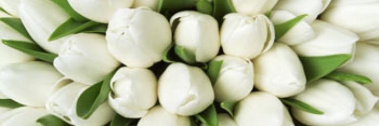 valentinadavol2's profile banner image