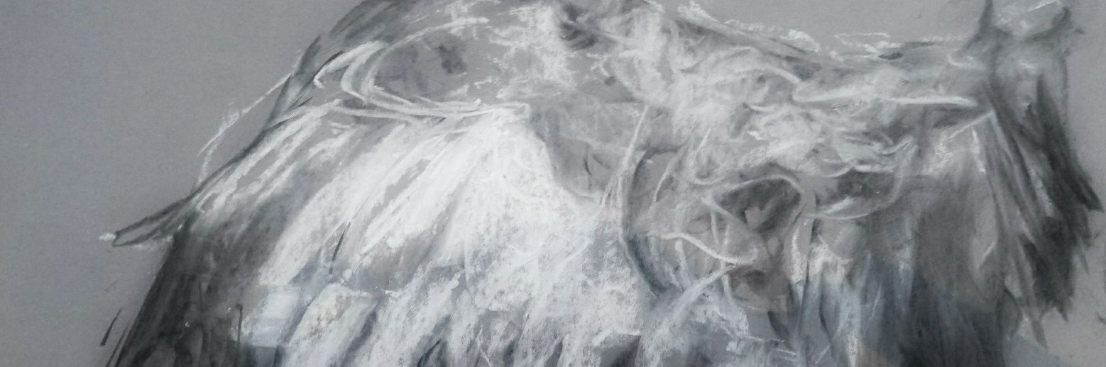 1_am10ve's profile banner image