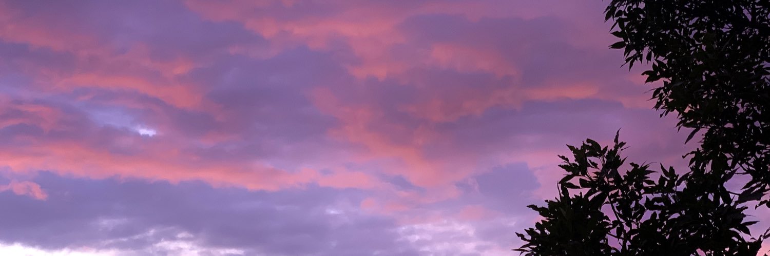 madisonalexa's profile banner image