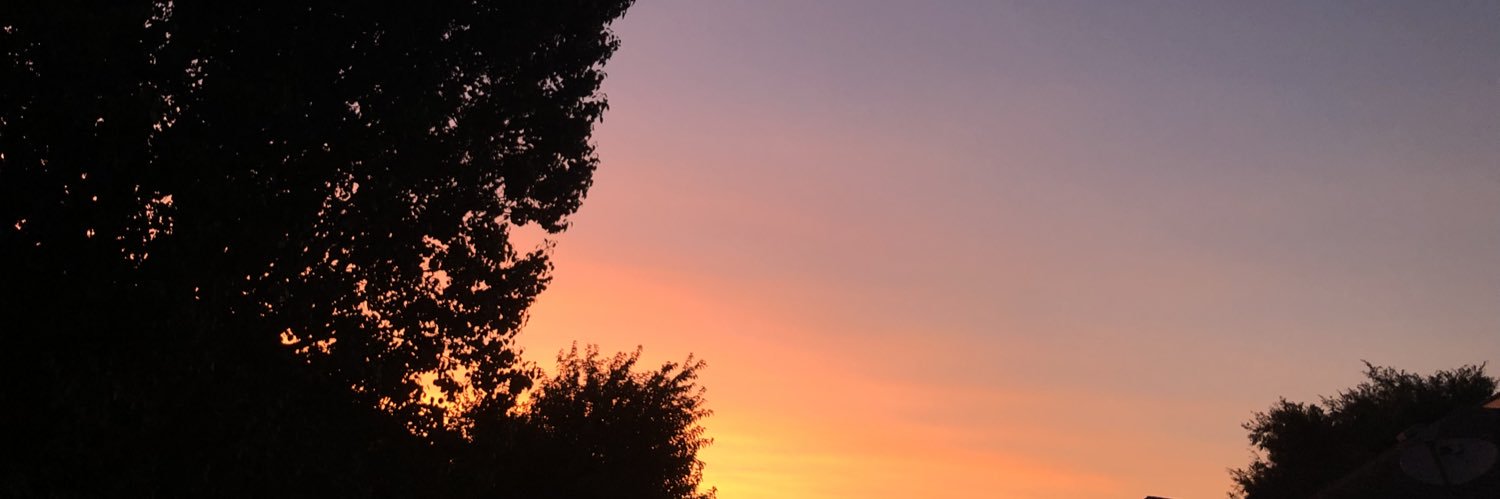 JessJatzek's profile banner image