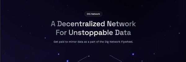 digdotnet Profile Banner