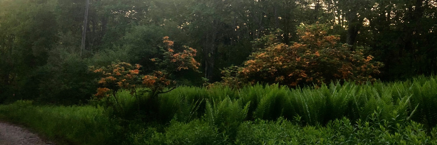 krtwriter's profile banner image