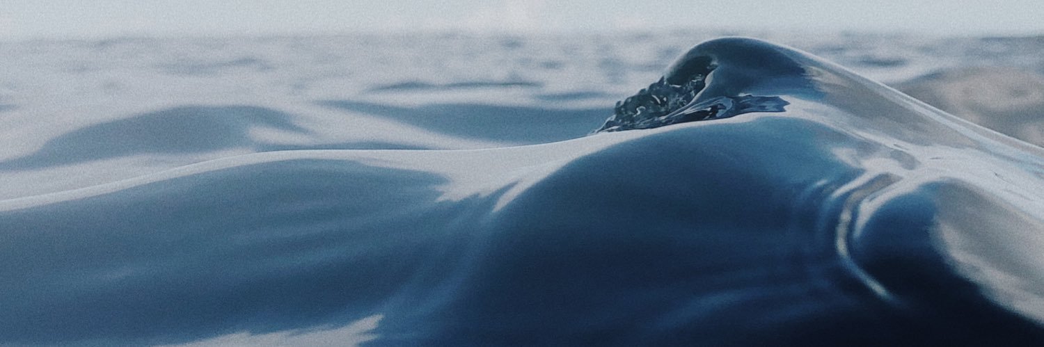 thelightholder's profile banner image