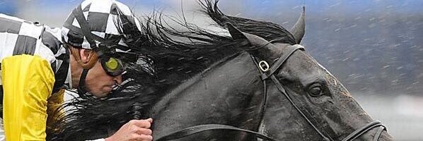 dom_long's profile banner image