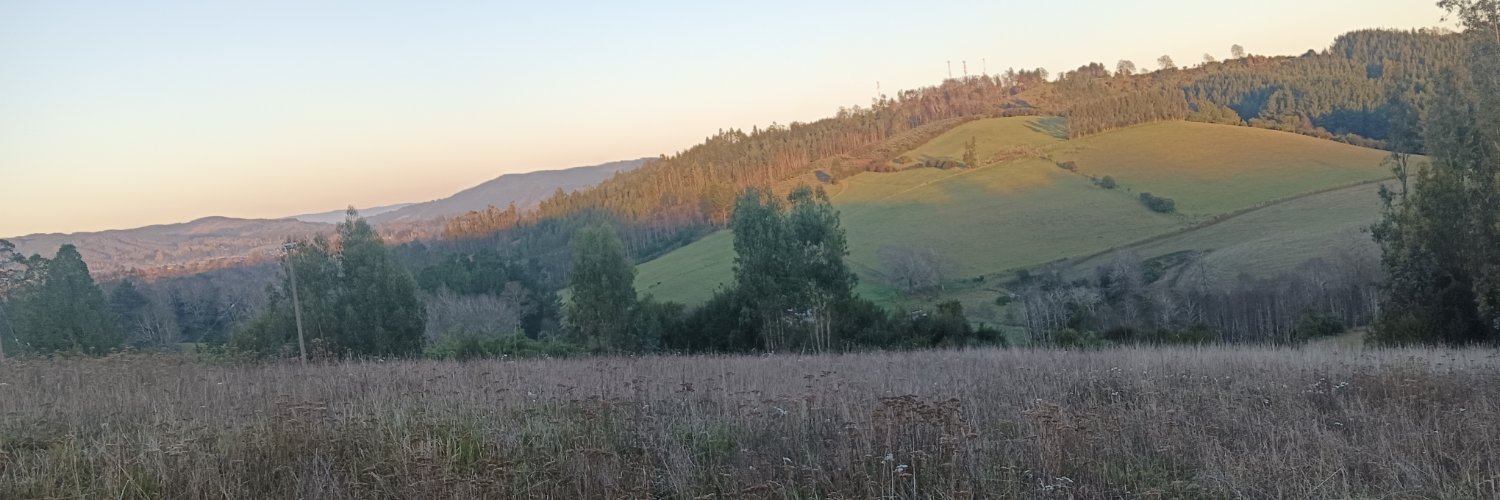 jonasanmartinn's profile banner image