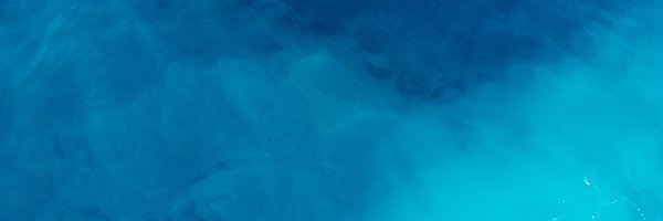 alexismrogers Profile Banner