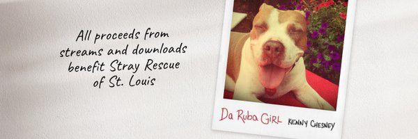 StrayRescue Profile Banner