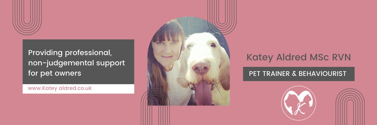 KateyAldred's profile banner image