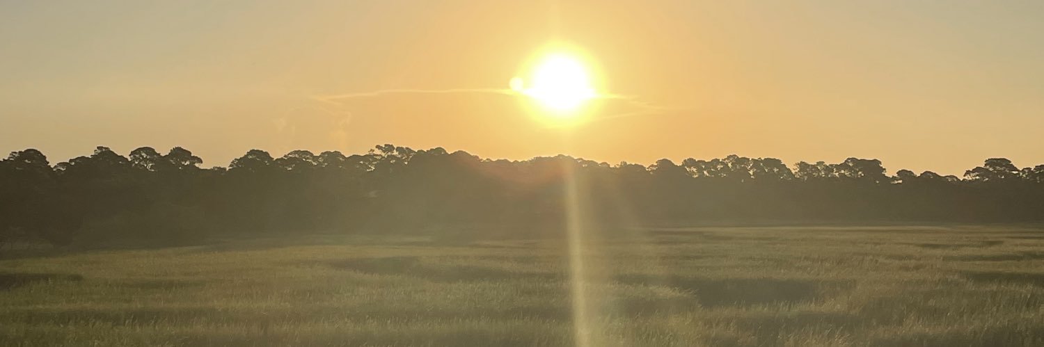 allysonacker's profile banner image