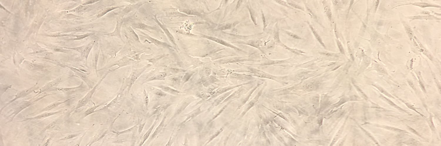 Dalkiria_22's profile banner image