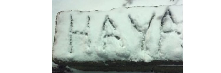kiiri4's profile banner image