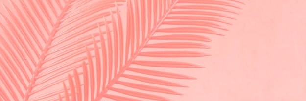 amynagle32's profile banner image