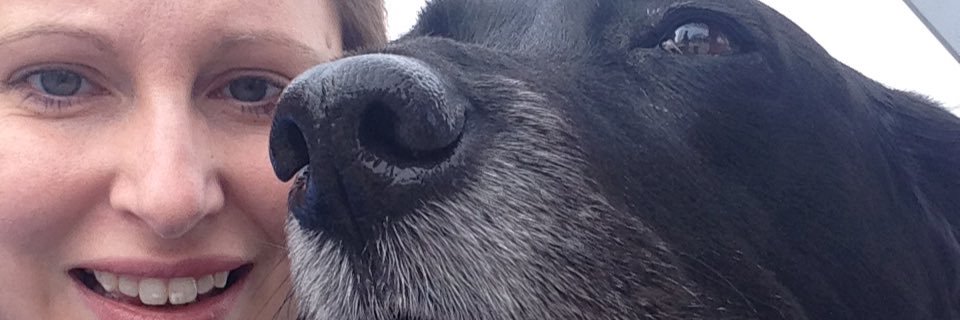 suzeha's profile banner image