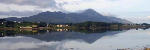Ciaran McFadden banner