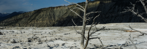 todoleast Profile Banner