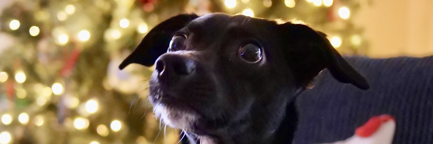 JamesChatsTV's profile banner image