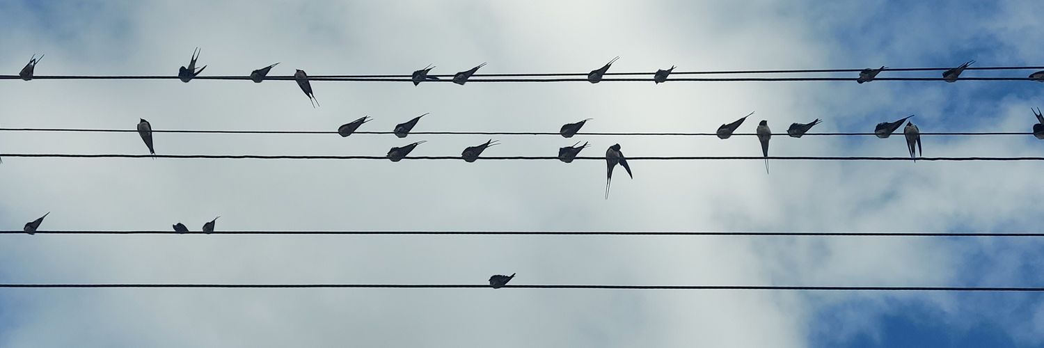 bymeydanoglu's profile banner image