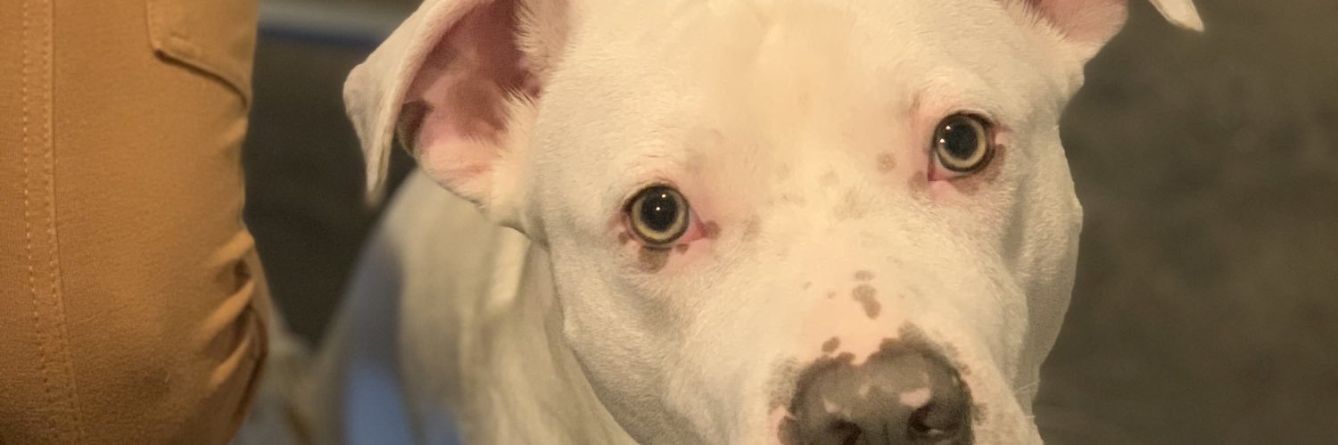 WhyYouOTF's profile banner image
