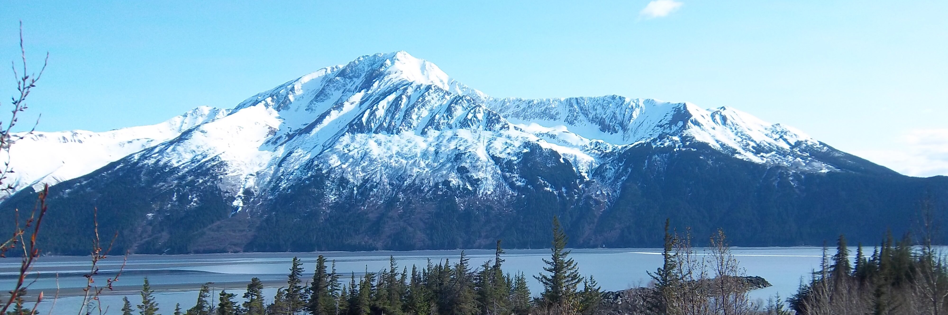 Lindsey Reiser banner