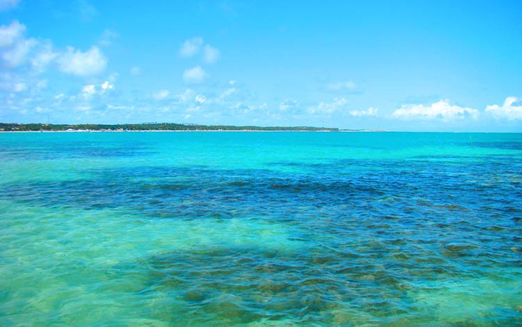 NATYVONLEPEL's profile banner image