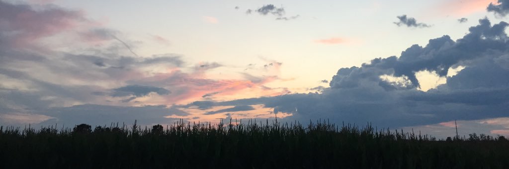 Maddy2187's profile banner image