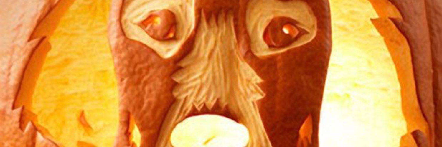 overcomer68's profile banner image