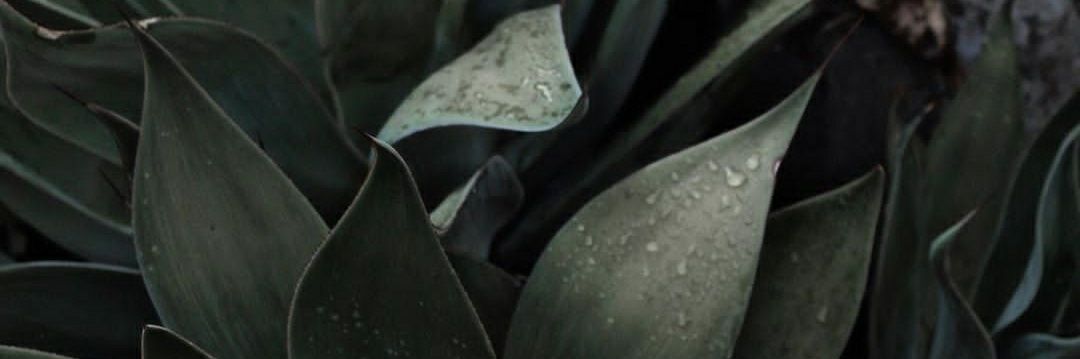 taylerlee55's profile banner image